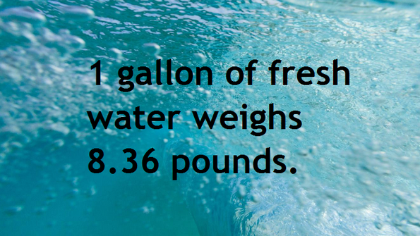  A Gallon Of Water Weigh